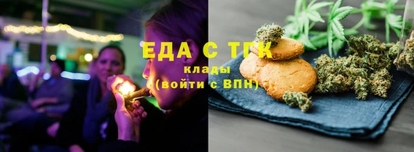 индика Бронницы