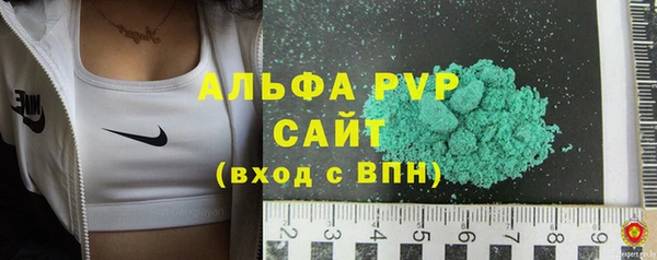 сатива Белоозёрский